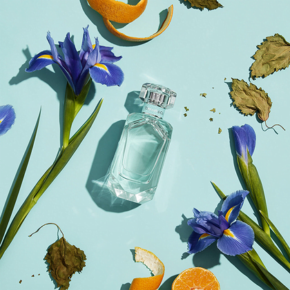 7 عطر مناسب برای عروس و داماد در روز عروسی