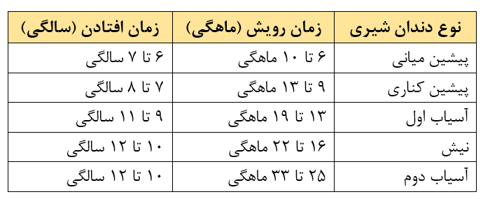 جدول زمانی کامل: از رویش تا افتادن طبیعی